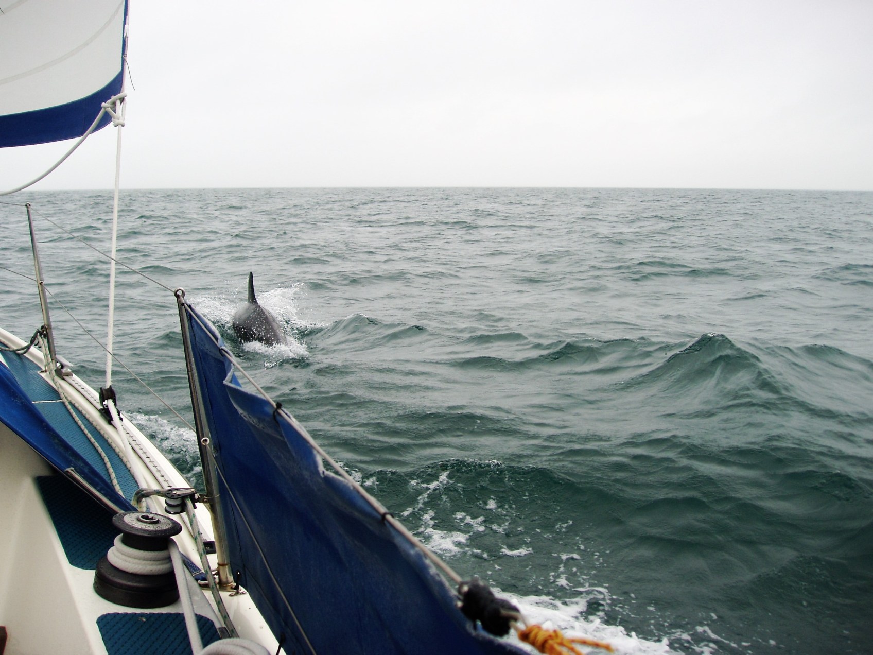boat photo